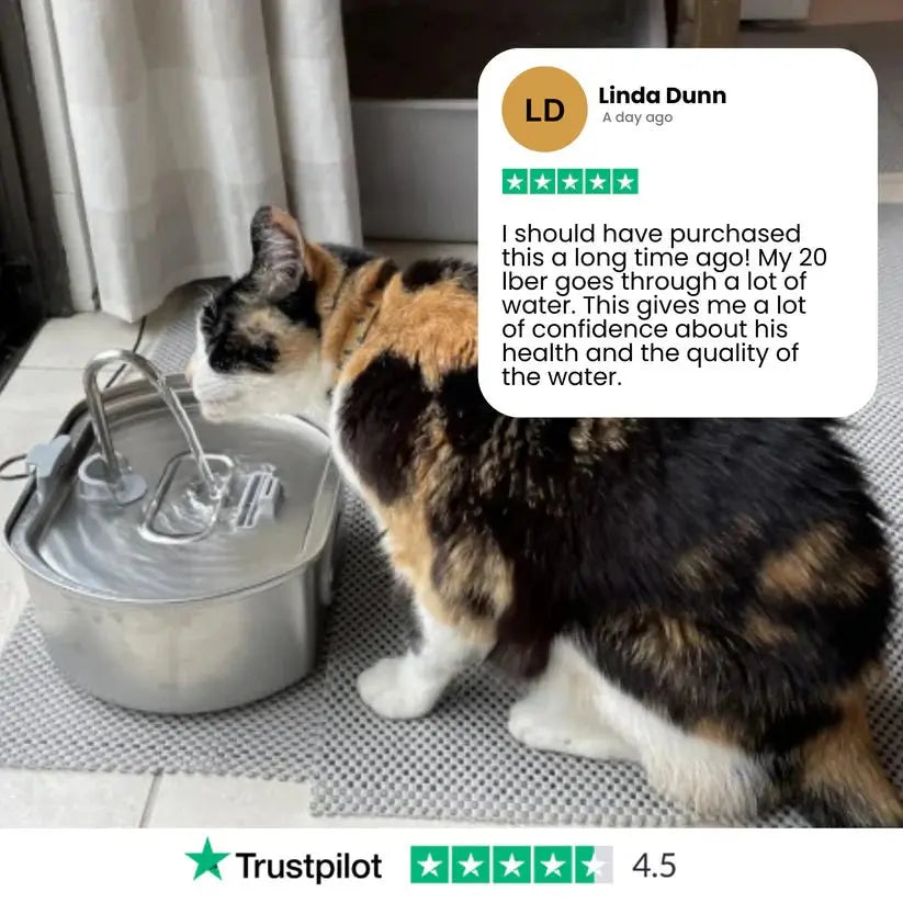 Add Years to Your Cat's Life with Purrflow's Triple-Filtration System