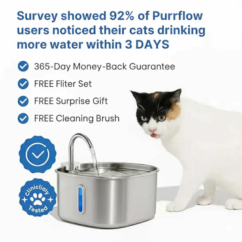 Add Years to Your Cat's Life with Purrflow's Triple-Filtration System